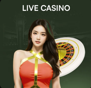 佩戴袖标出战日本，格伊成为英格兰队史第129位场上队长